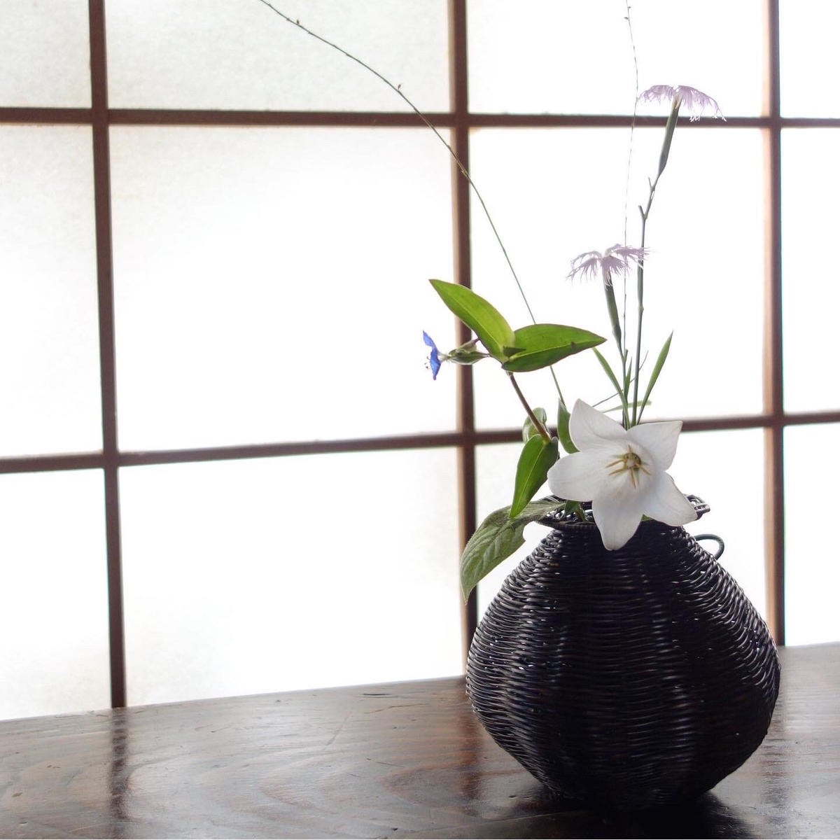 流 小菅小竹堂 鳳尾竹掛花入 共箱 Ki046 Bigboxestudios Com Br