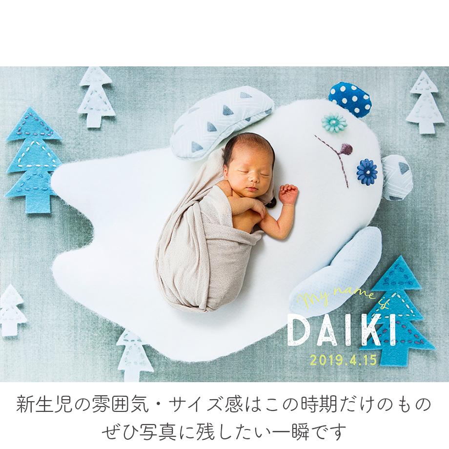 おうち写真館 Babybear Forest 名入れあり i Gracocoro おうち写真館 Babybear Forest 名入れあり i Gracocoro