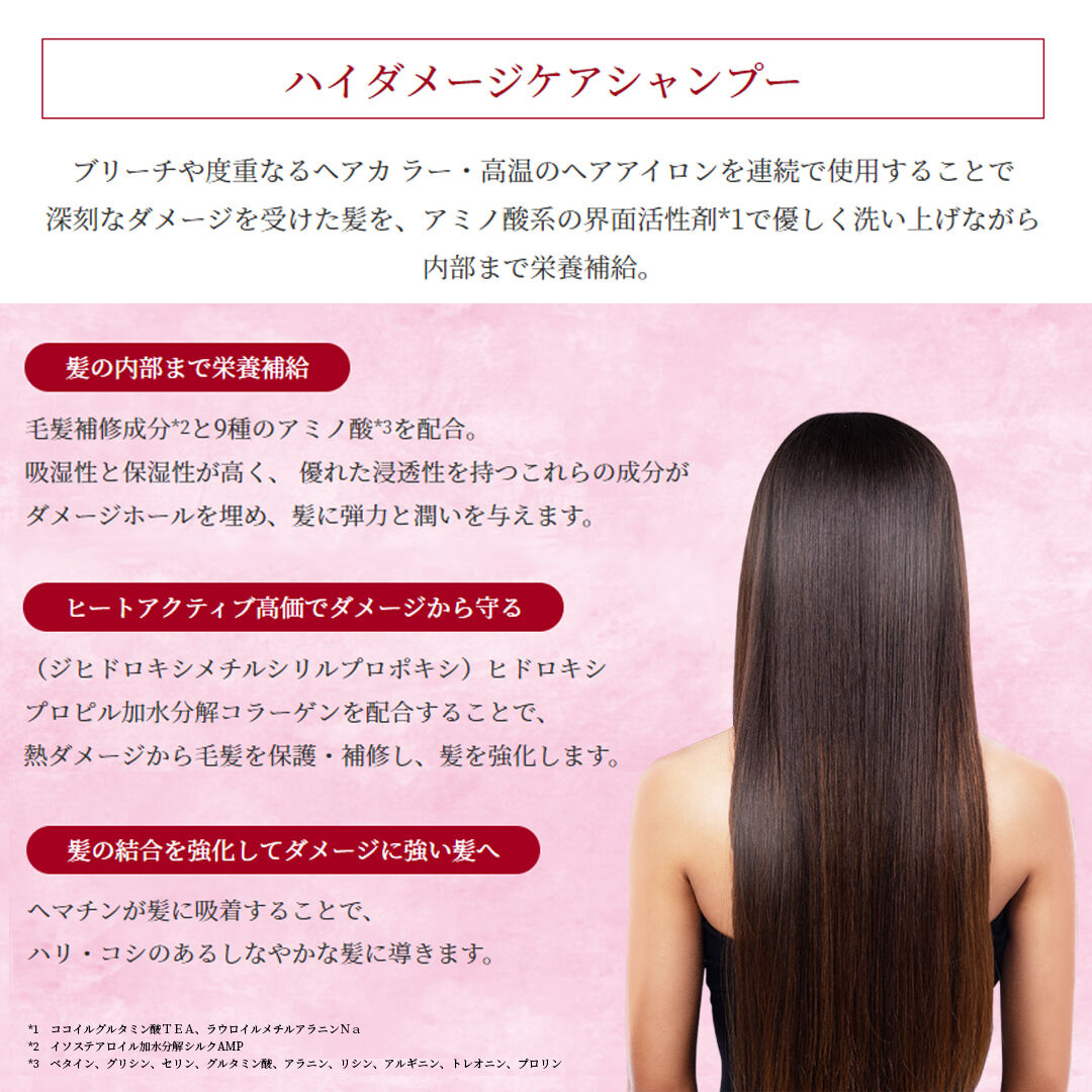 Sale 送料無料 ハイダメージケアシャンプー トリートメントセット Gran L A