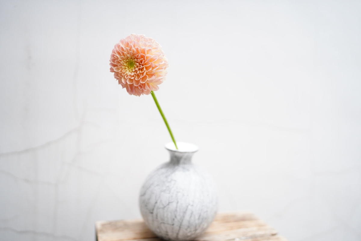 Fidrio Flower Vase Cube Gui Flower Store