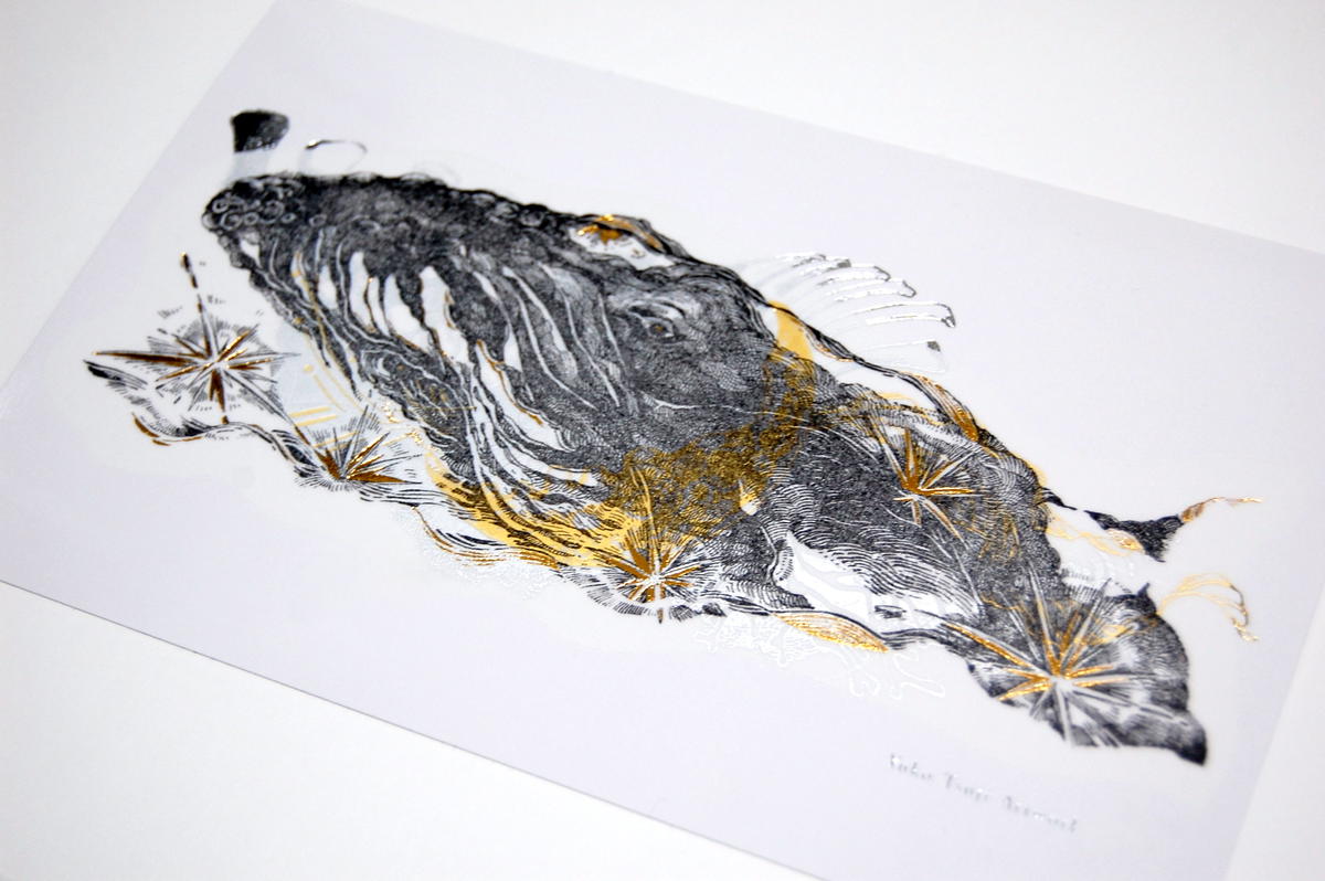 売り切り御免 ポストカード イラスト イワシクジラ 風にまかせて Act C Shipsctc Org