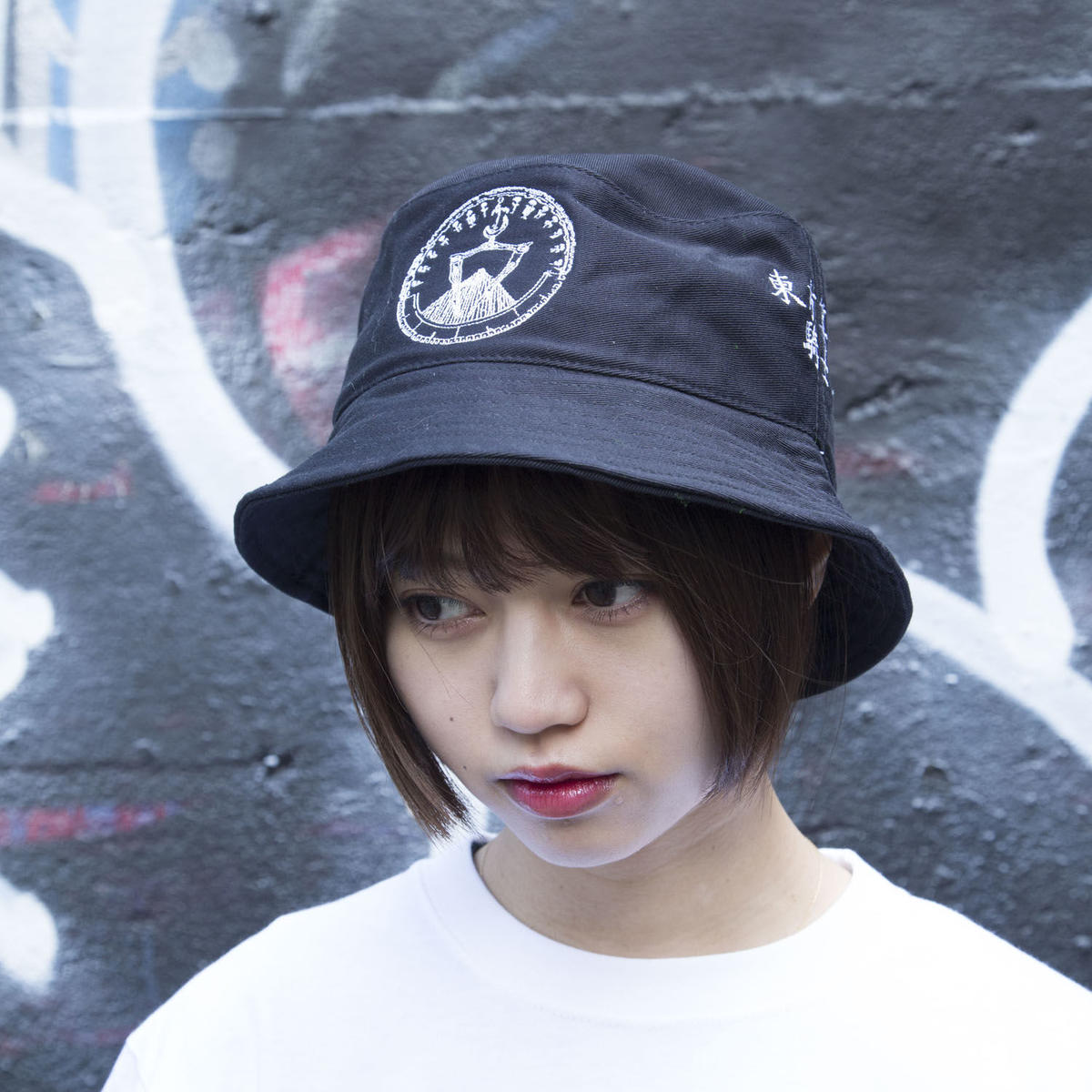 【serial experiments lain × messa store】東方算法騎士団ナイツ