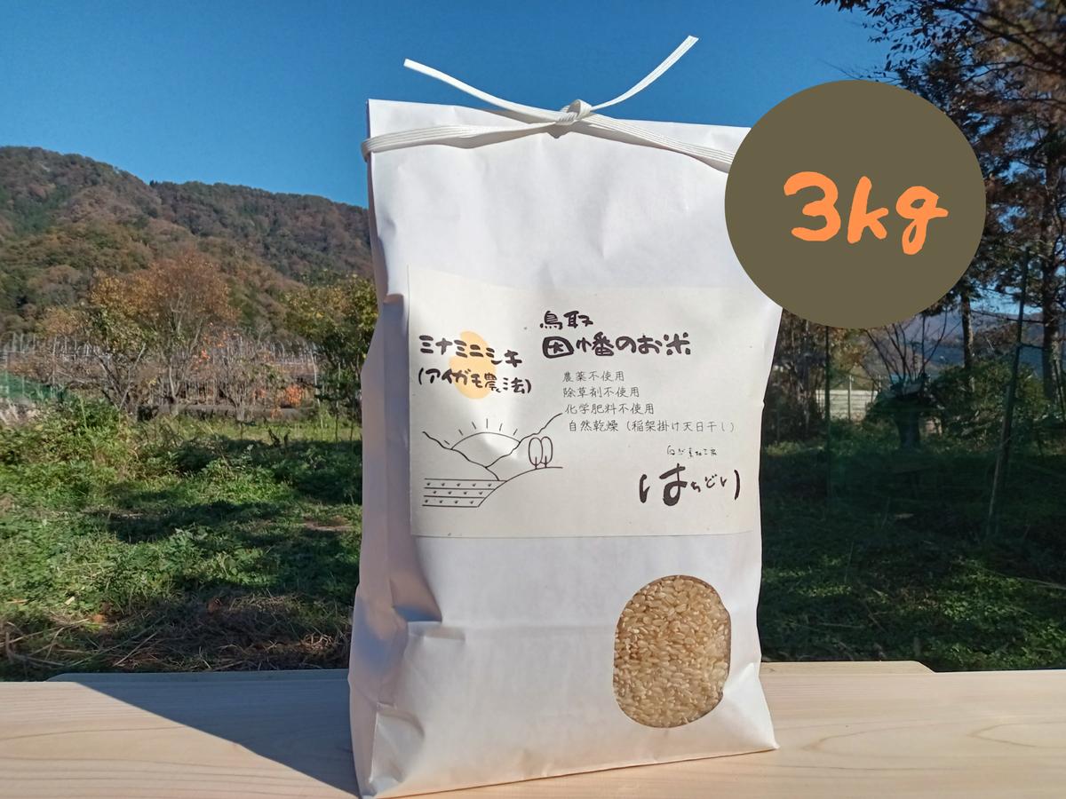 ✳️農薬不使用・化学肥料不使用・除草剤不使用・無添加・有機・光選別ハツシモ20キロ 6年✳️農薬不使用 無添加 有機 光選別最上級特Aハツシモ粒揃い