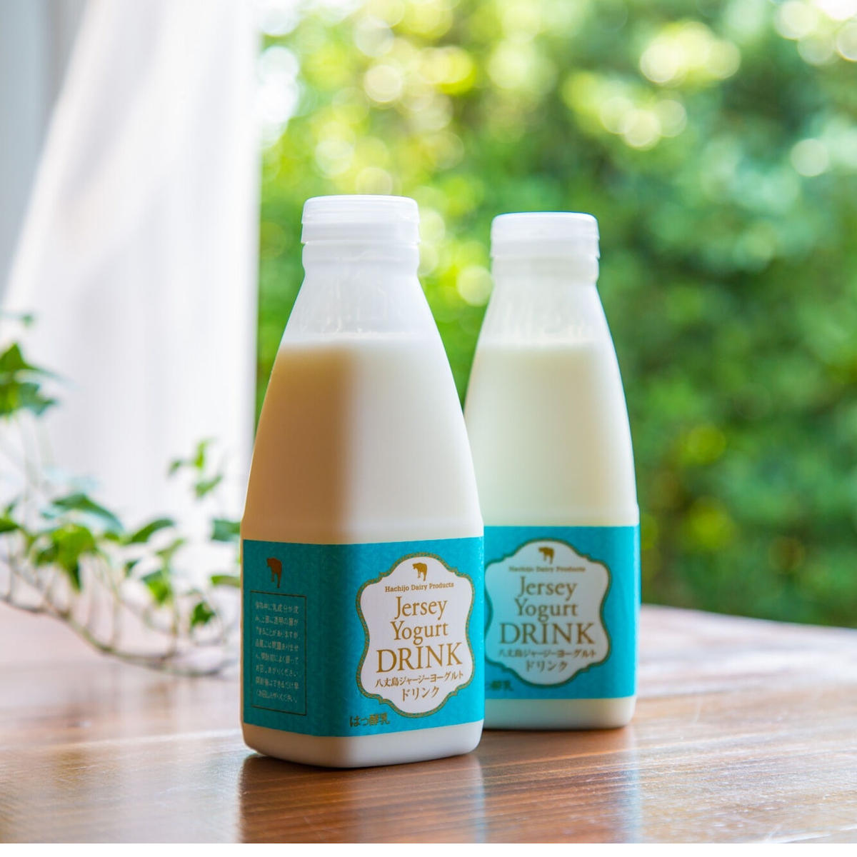 八丈島ジャージーヨーグルトドリンク500ml 2本 八丈島乳業オンラインショップ