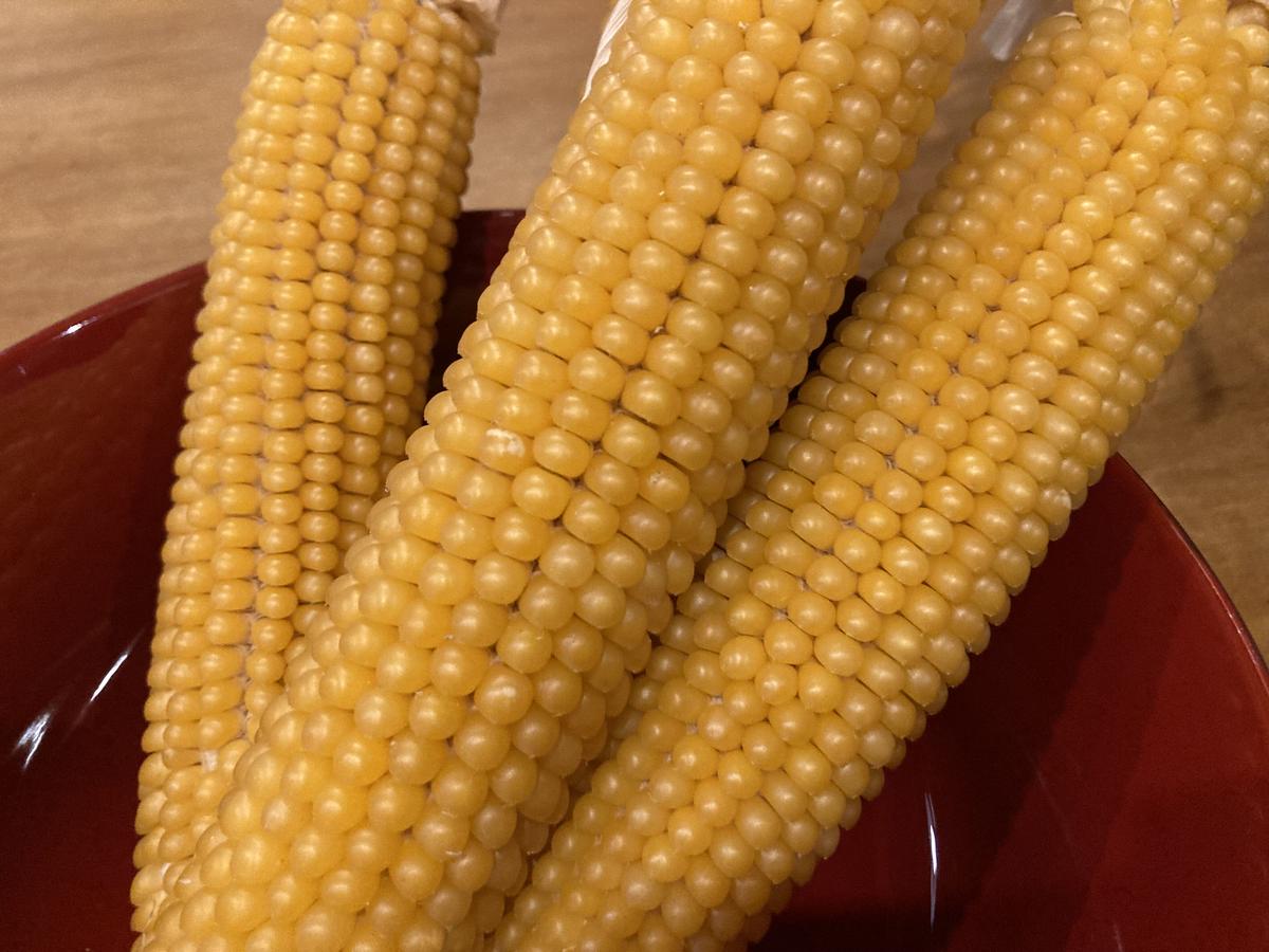 北海道産無農薬有機栽培のポップコーンさやつき 1本 一屋 Hajimeya 北海道産無農薬有機栽培のポップコーンさやつき 1本 一屋 Hajimeya