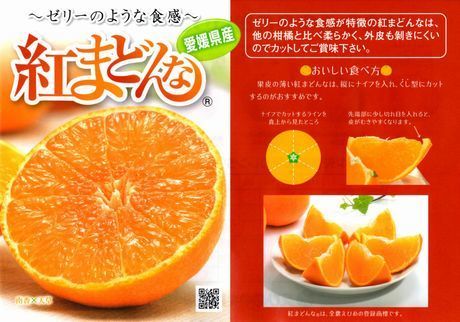紅まどんな フルーツひろは 紅まどんな フルーツひろは
