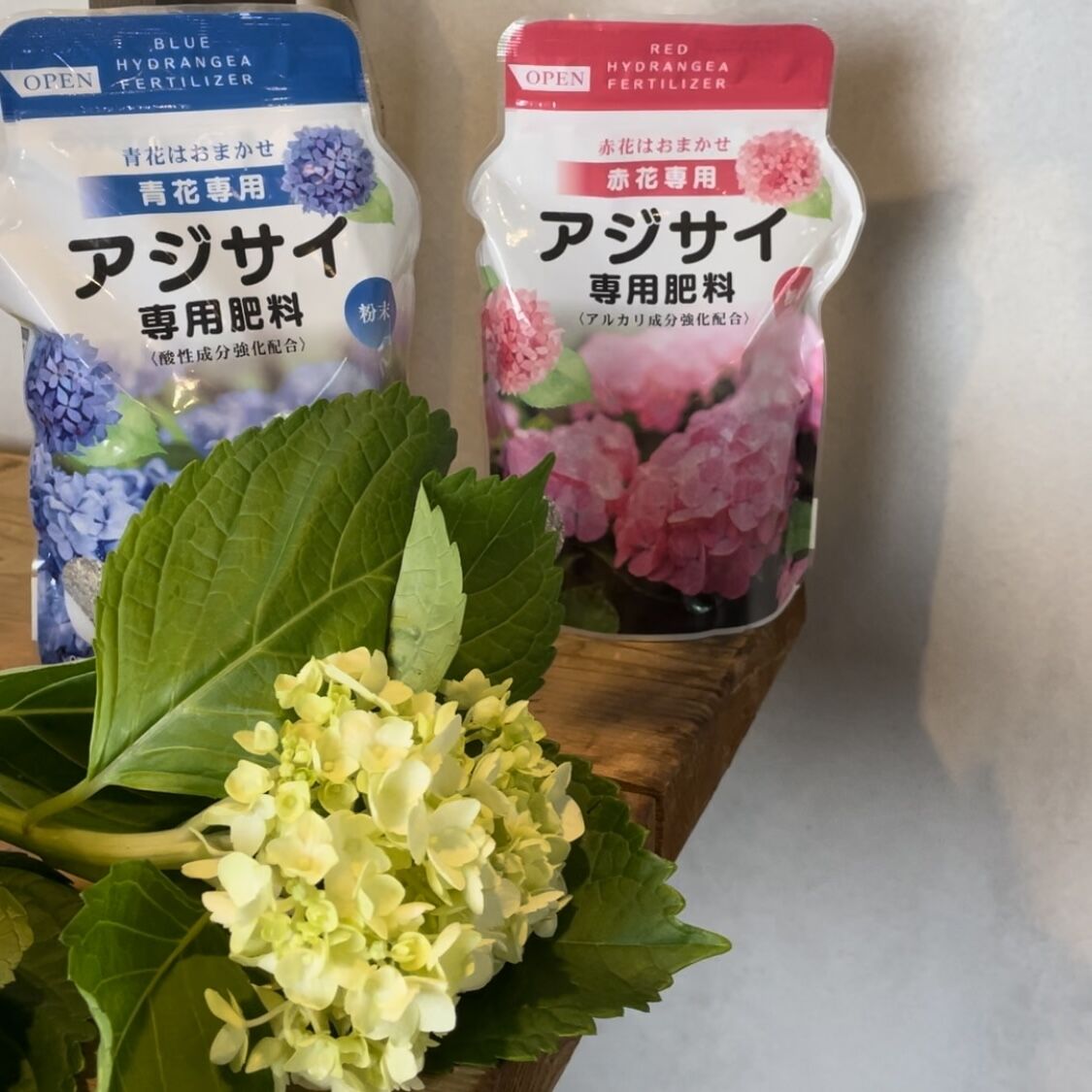 アジサイ専用肥料 赤青4個セット | 花fusa - オンラインストア
