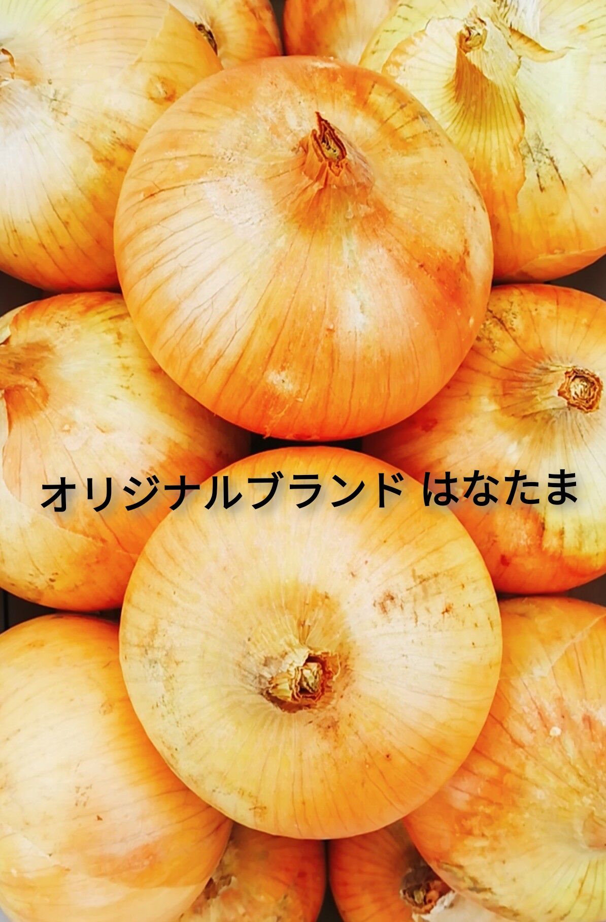 15172136_3