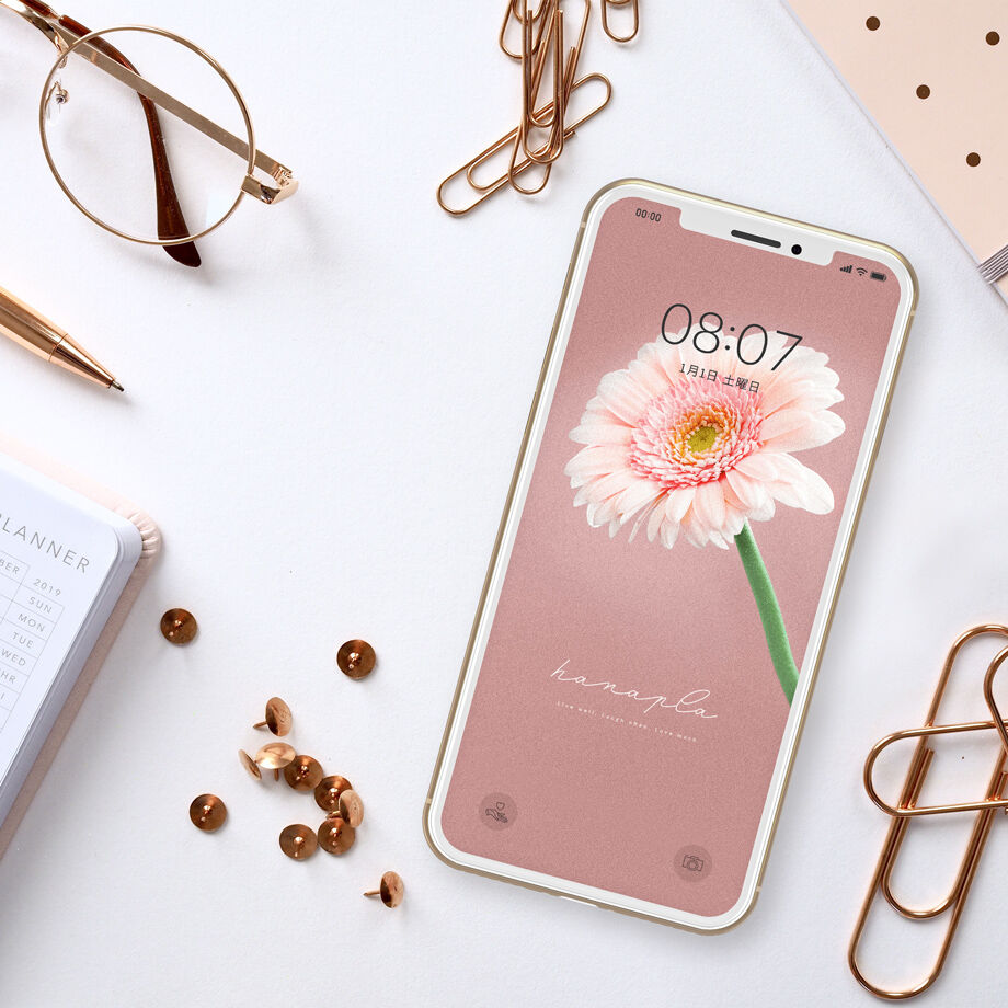 恋愛おまじない くすみピンク背景とピンクガーベラのおしゃれ画像 Iphone Android