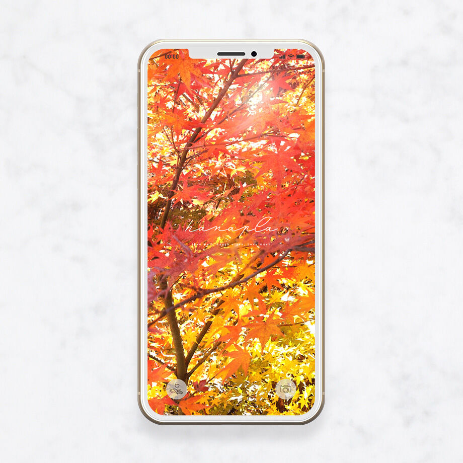 鮮やかカラー エネルギーを感じる紅葉のスマホ壁紙 Hanapla おしゃれ待ち受け画面