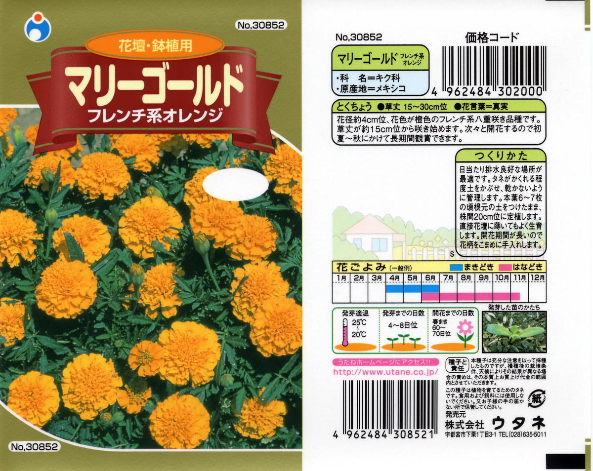 虫よけマリーゴールドセット 送料込 種セット 12g ギフト 花さんぽ 種子 アートフ