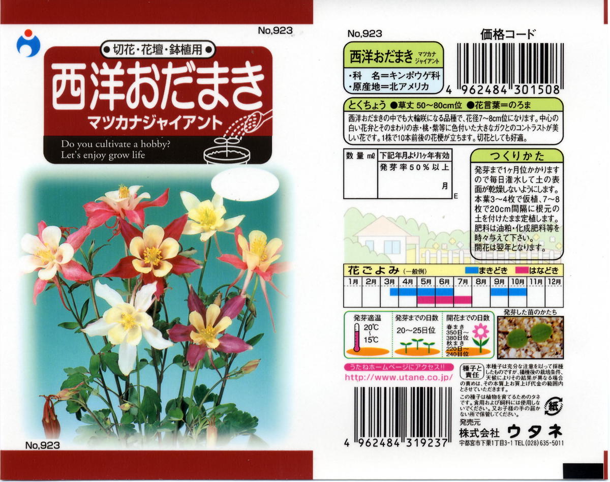 西洋おだまきジャイアント 送料込 種セット 4g ギフト 花さんぽ 種子