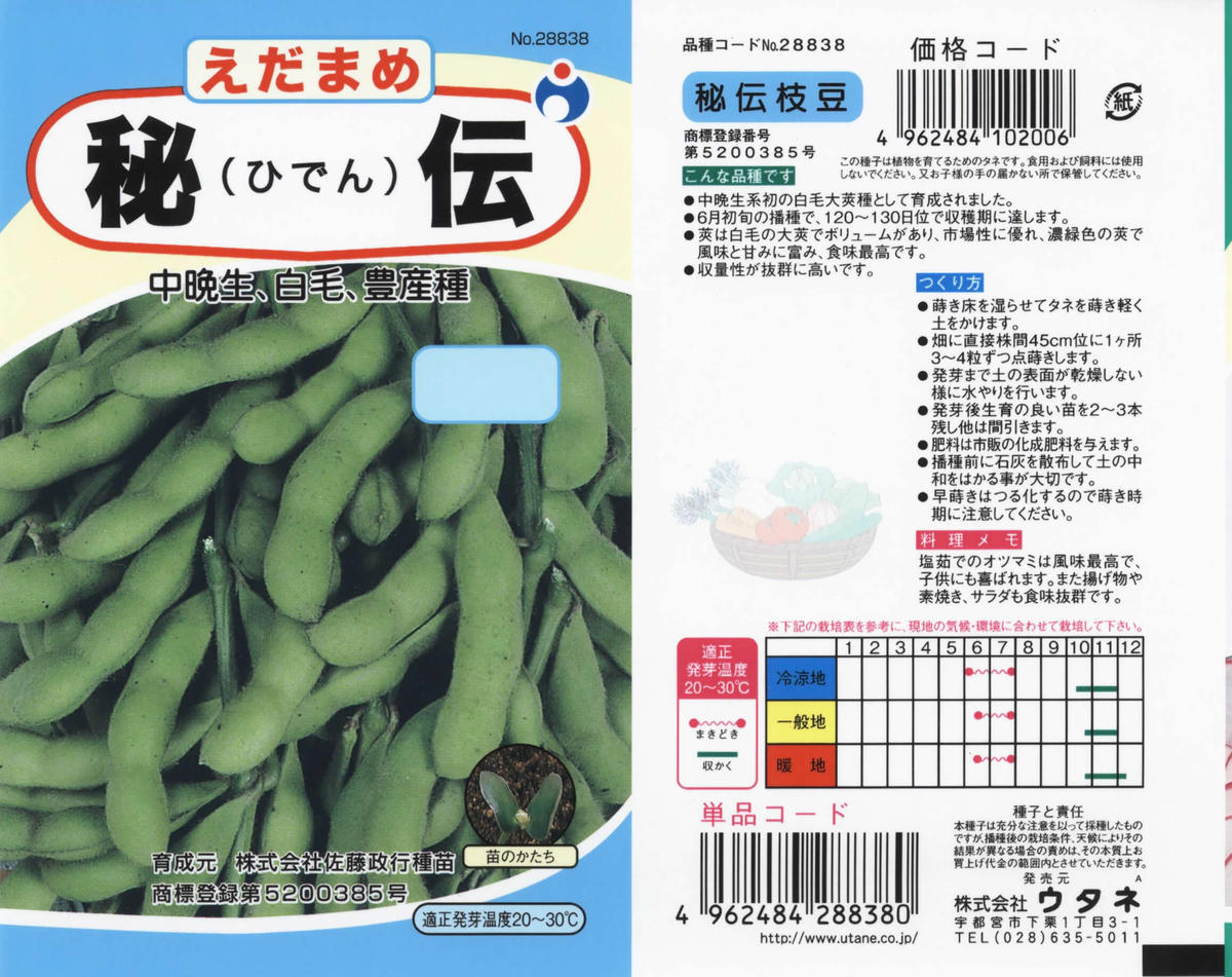 秘伝枝豆 送料込 種セット 23g 2 花さんぽ 種子 アートフラワー 栽培キット