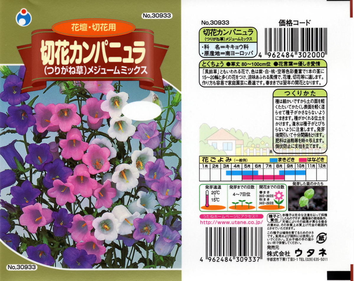 切花カンパニュラメジュームミックス 送料込 花さんぽ 種子 アートフラ