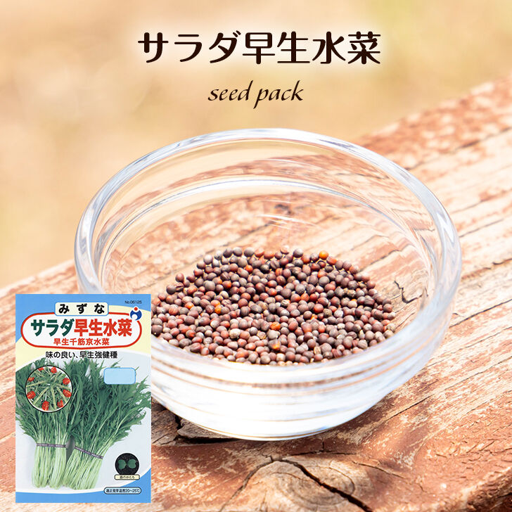 サラダ早生千筋京水菜 送料込 種セット 10g 花さんぽ 種子 アートフ