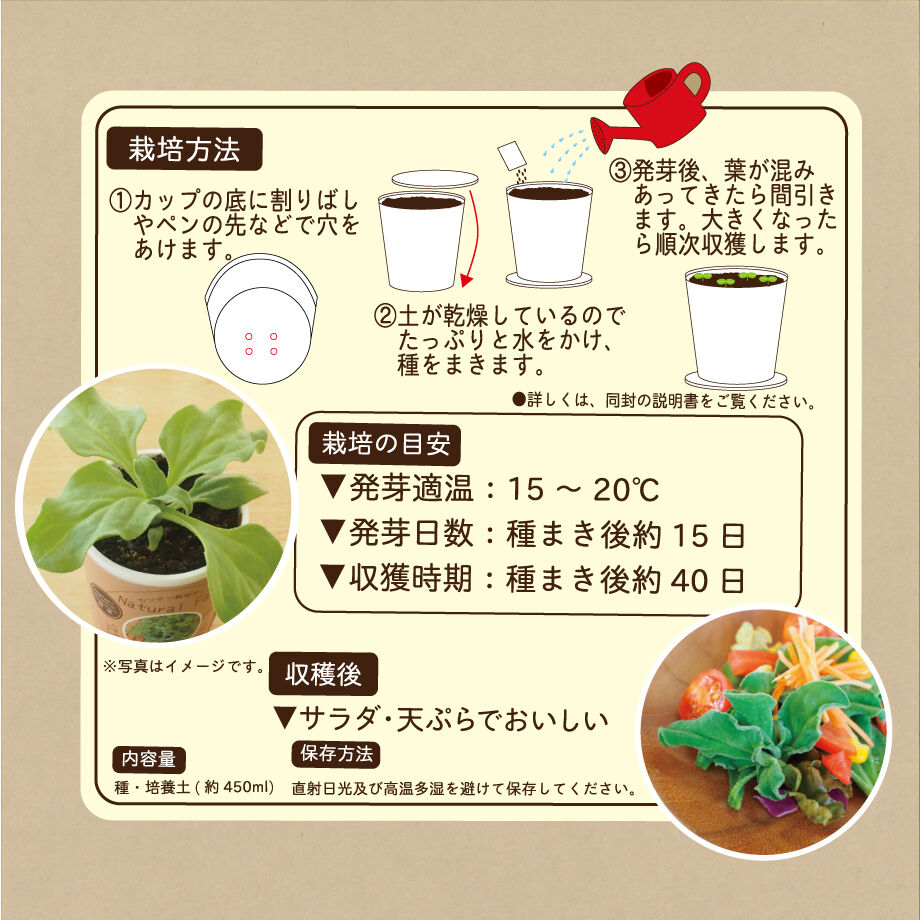 Natural Farm カンタン栽培キット アイスプラント 栽培セット 花さんぽ 種子 Natural Farm カンタン栽培キット アイスプラント 栽培セット 花さんぽ 種子