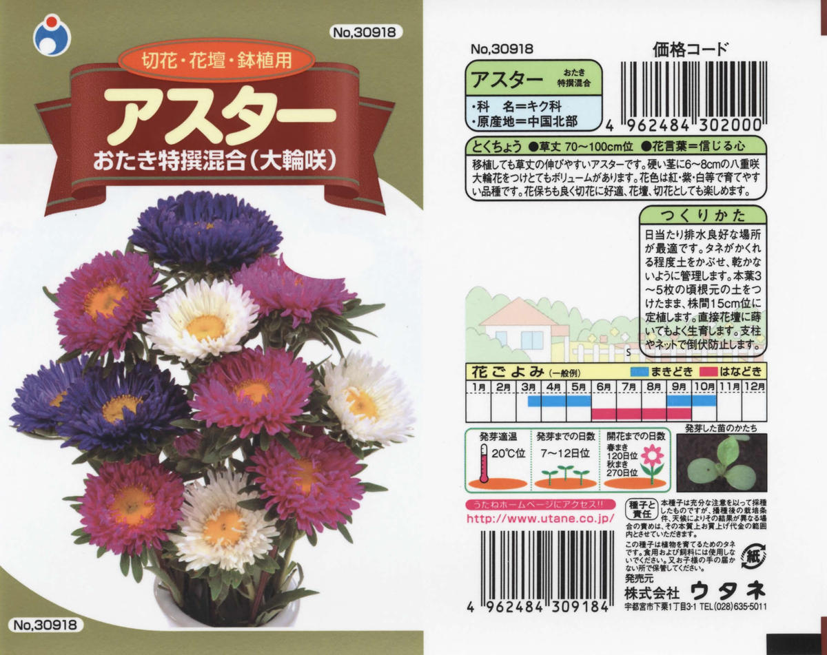 アスターおたき混合 送料込 花さんぽ 種子 アートフラワー 栽培キット