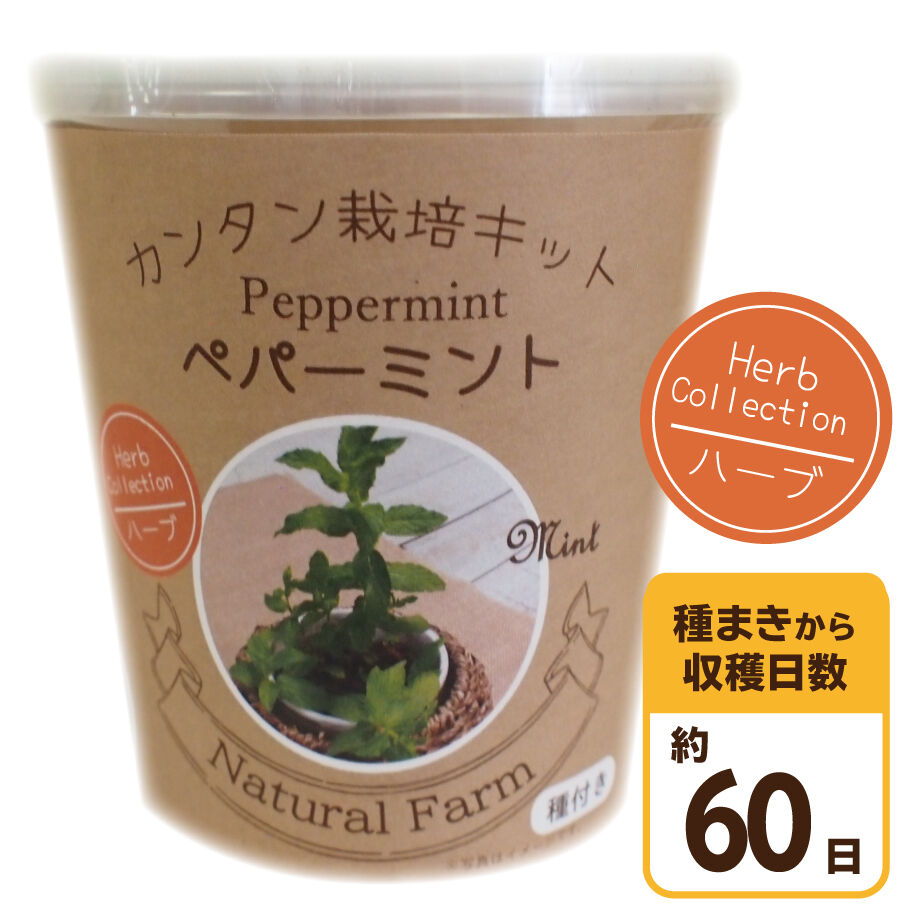 Natural Farm カンタン栽培キット ペパーミント 栽培セット 花さんぽ 種子