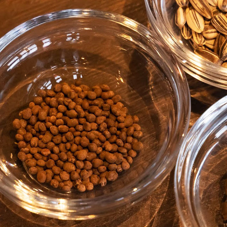 ほうせん花 送料込 種セット 4g 花さんぽ 種子 アートフラワー 栽培キット