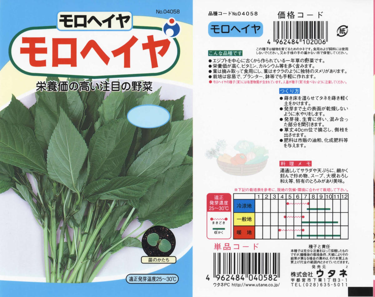 モロヘイヤ 送料込 種セット 5g 花さんぽ 種子 アートフラワー 栽培キット