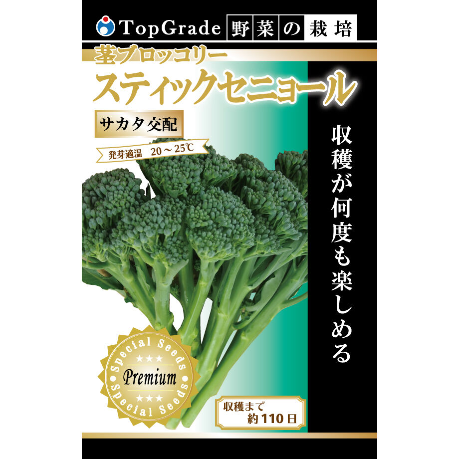 トップグレード サカタ交配 スティックセニョール 0 3ml 花さんぽ 種子 アートフラ トップグレード サカタ交配 スティックセニョール 0 3ml 花さんぽ 種子 アートフラ