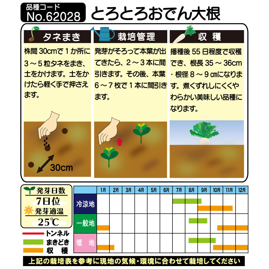 トップグレード 一代交配 Yrとろとろおでん大根 3 5ml 花さんぽ 種子 アートフラ トップグレード 一代交配 Yrとろとろおでん大根 3 5ml 花さんぽ 種子 アートフラ