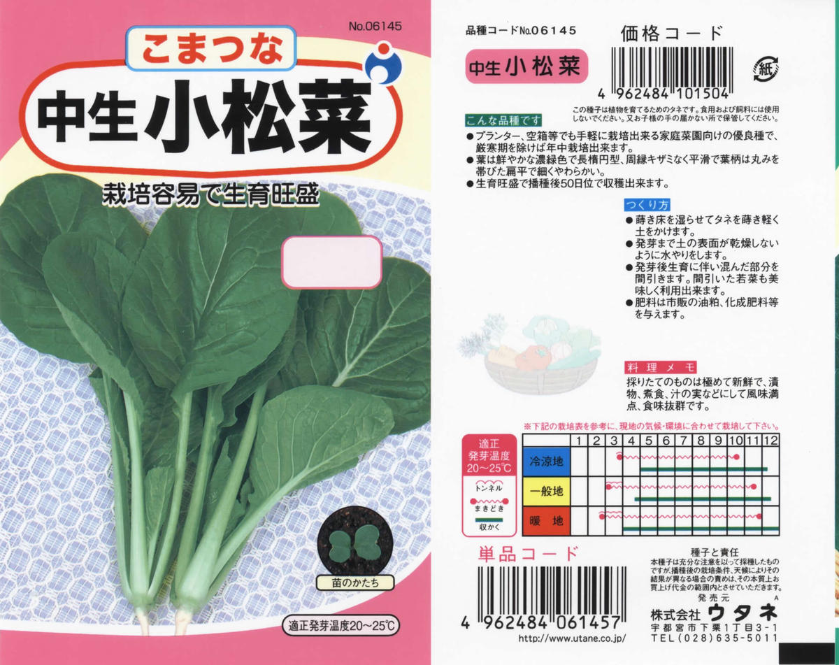 中生小松菜 送料込 種セット 10g 花さんぽ 種子 アートフラワー