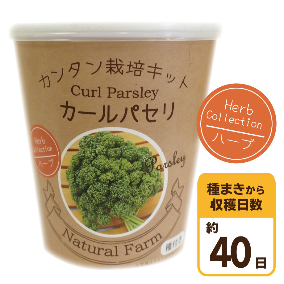 Natural Farm カンタン栽培キット カールパセリ 栽培セット 花さんぽ 種子