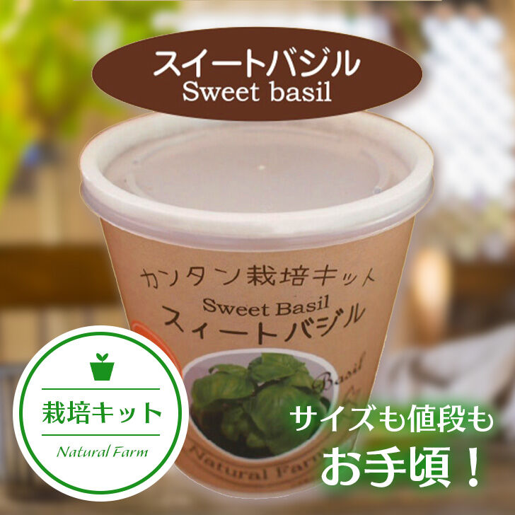 Natural Farm カンタン栽培キット スイートバジル 栽培セット 花さんぽ 種子