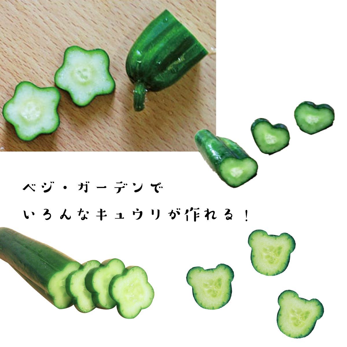 ハートのきゅうり １セット入 家庭菜園 ハート形キュウリ キャラ弁 Asahipen Di