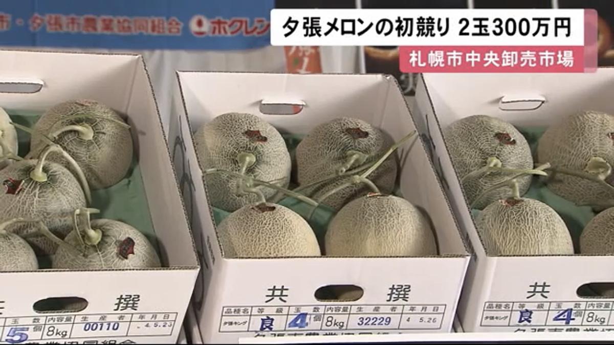 夕張メロン (共撰:優品)1箱 8kg (4-7玉) - grupolifecare.com.br 夕張メロン (共撰:優品)1箱 8kg (4-7玉) - grupolifecare.com.br