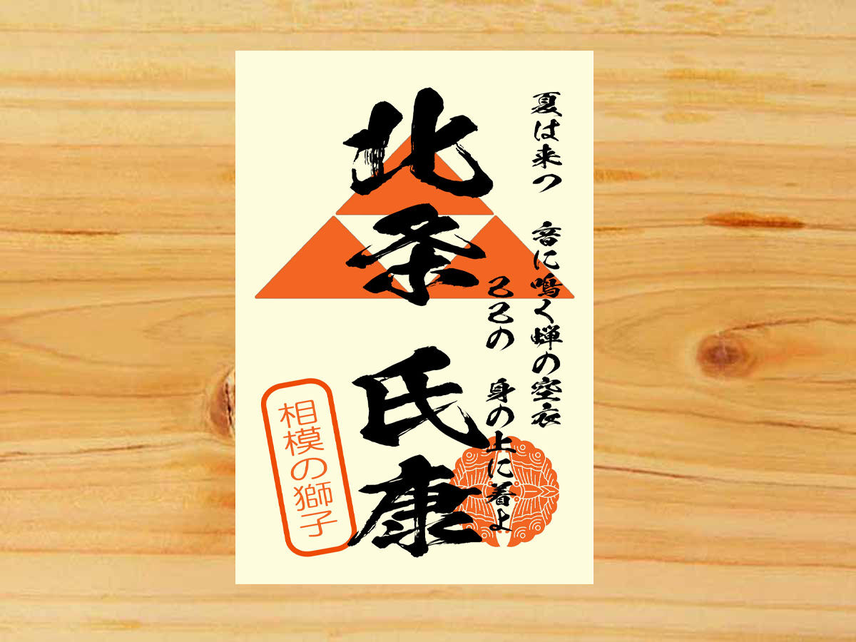 お客様満足度NO.1 戦国武将印 56枚セット 細字バージョン 戦国武将印