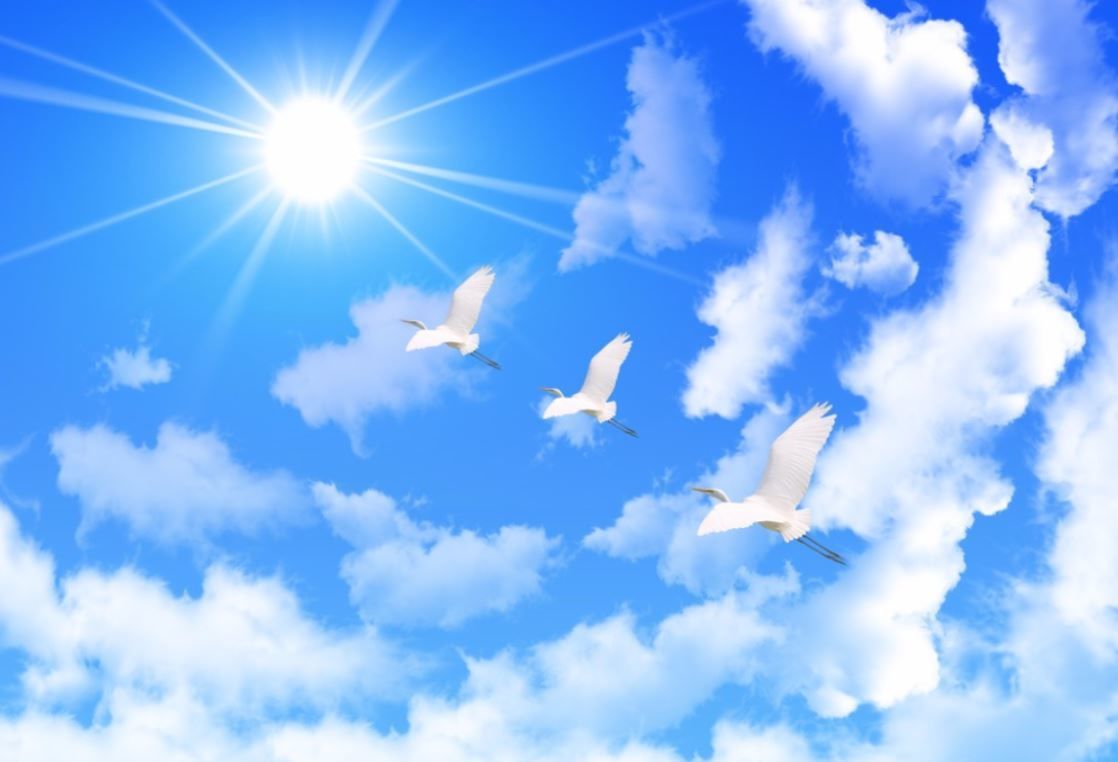 ３d 遮光カーテン 3 213cm サイズ多数 青空 太陽 雲 Diy おしゃれ 模様替