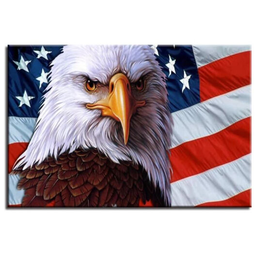 お洒落な壁掛けアートパネル 枠付き 40 60cm アメリカ 国旗 Usa ハクトウワシ