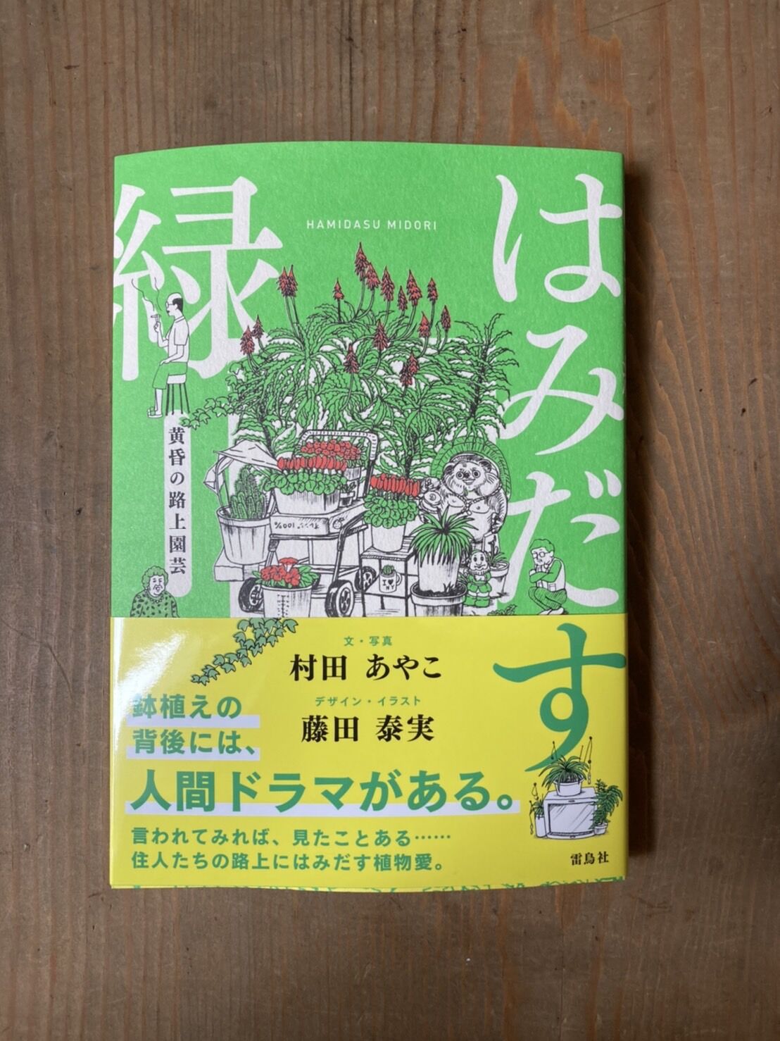 はみだす緑 黄昏の路上園芸 ヒトヤ堂