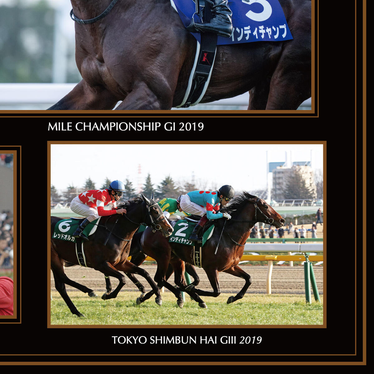 インディチャンプ引退記念写真デザインパネル 競馬 オンライ