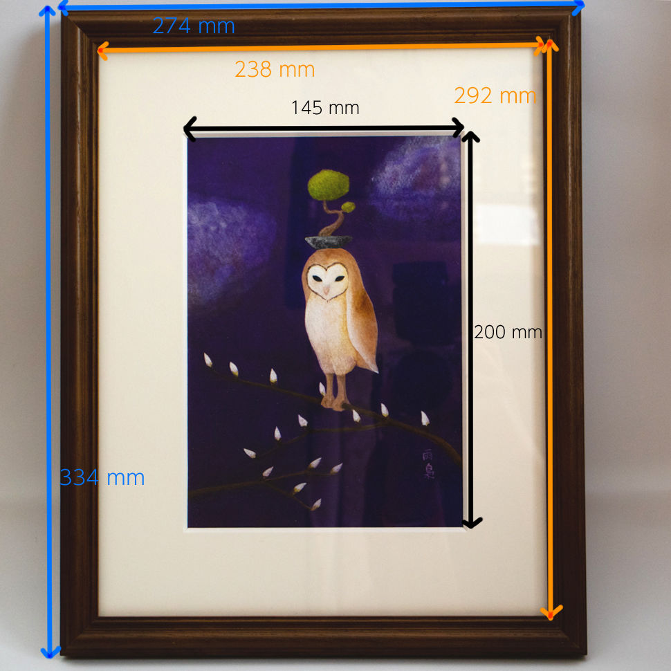 フクロウの原画