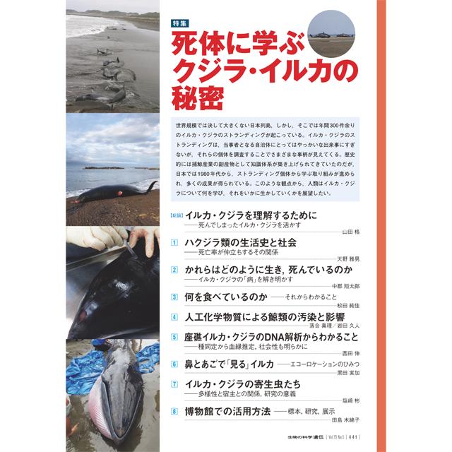19年9月発行号 特集 死体に学ぶクジラ イルカの秘密 9論文 10