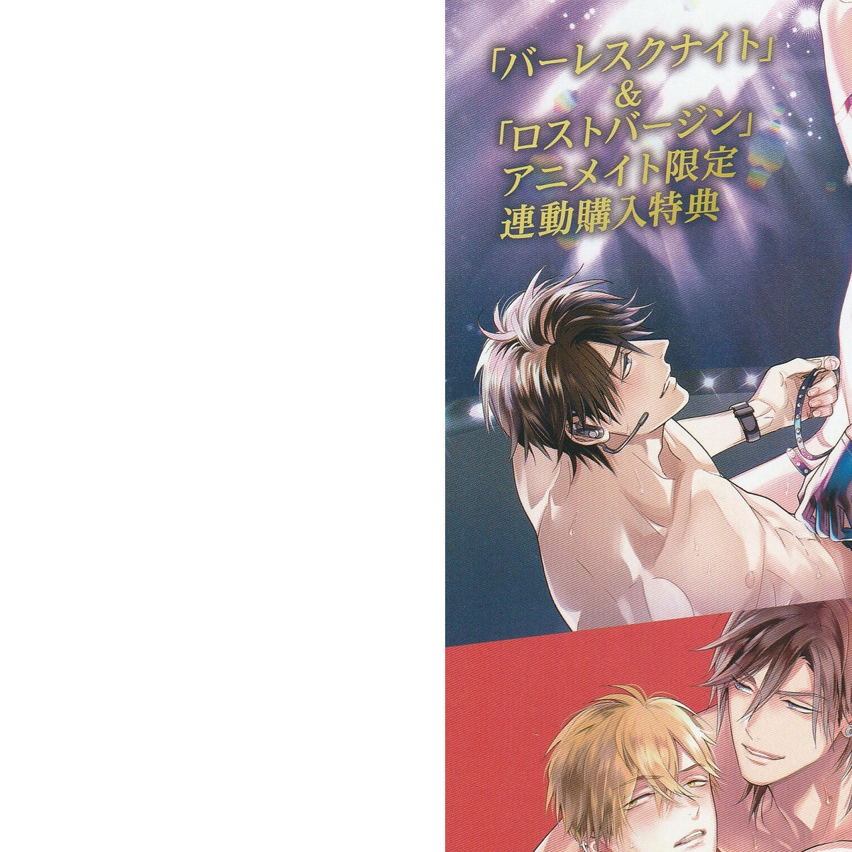那木渡 バーレスクナイト ロストバージン アニメイト限定連動特典リーフレット Blグッズ