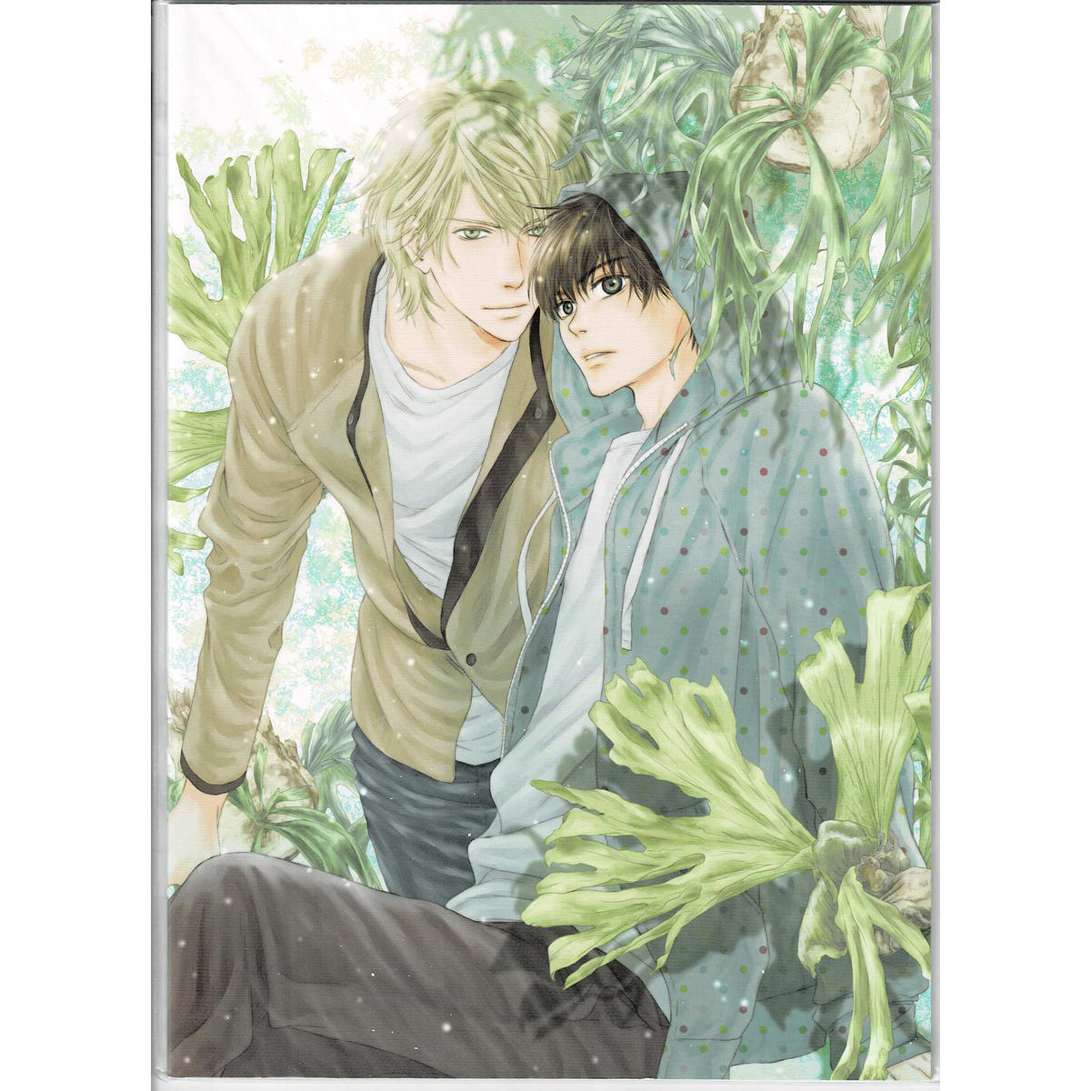 純正クオリティ スーパーラヴァーズ 八犬伝 東方八犬異聞 少女漫画 Devzone Positivecoach Org 純正クオリティ スーパーラヴァーズ 八犬伝 東方八犬異聞 少女漫画 Devzone Positivecoach Org