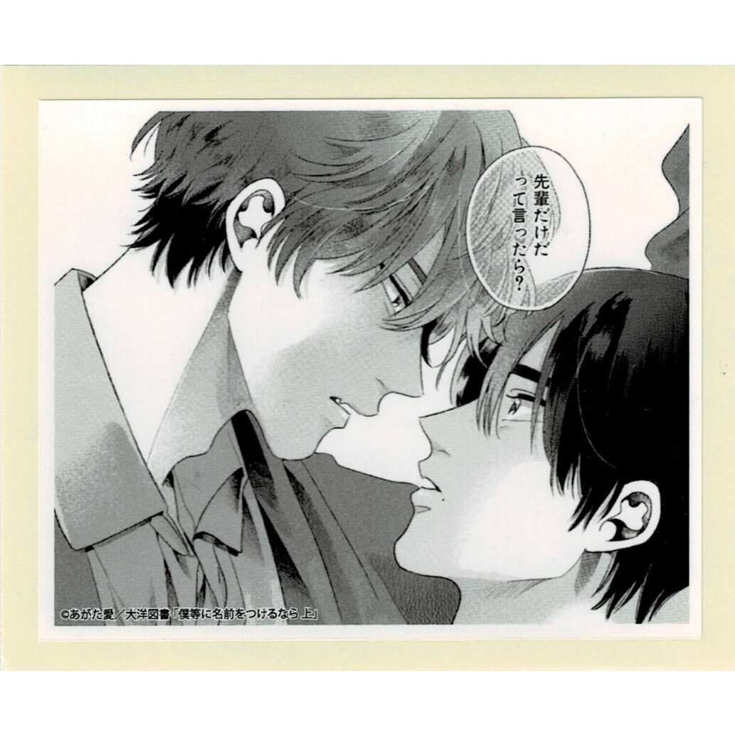 BL 僕は君のいいなり・僕等に名前をつけるなら とらのあな 他