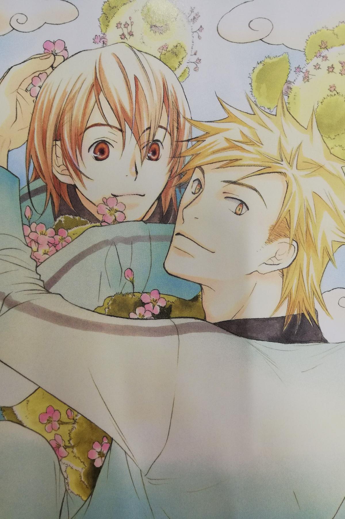 南野ましろ てのひらに はなのさく ポストカード Blグッズ K Books