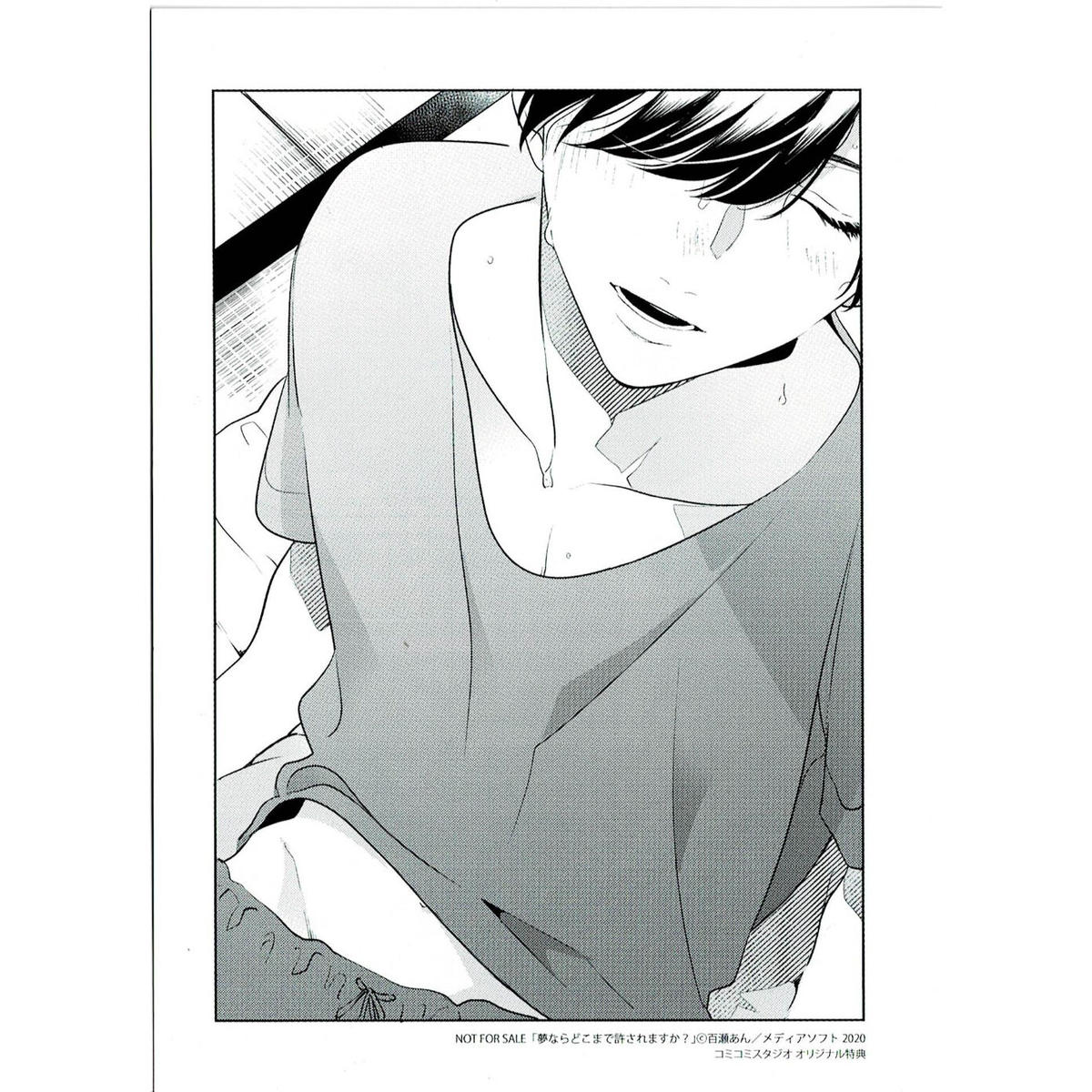 百瀬あん 夢ならどこまで許されますか コミコミスタジオ特典 リーフレット Blグッズ