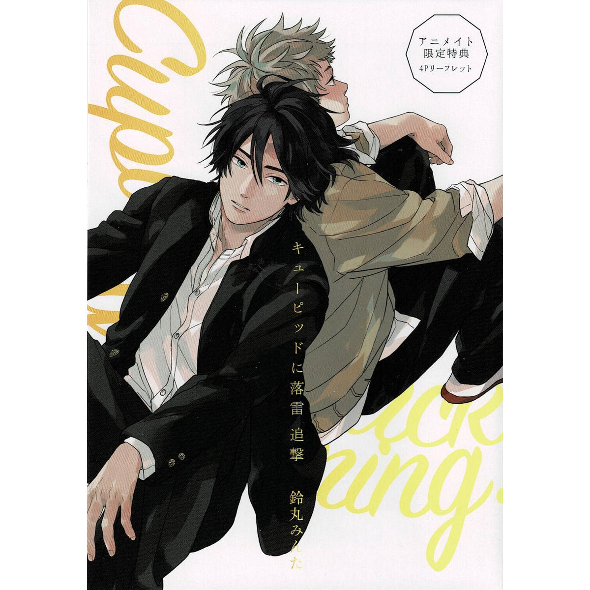 キューピッドに落雷 追撃 アニメイト特典リーフレット Blグッズ K Books 池袋