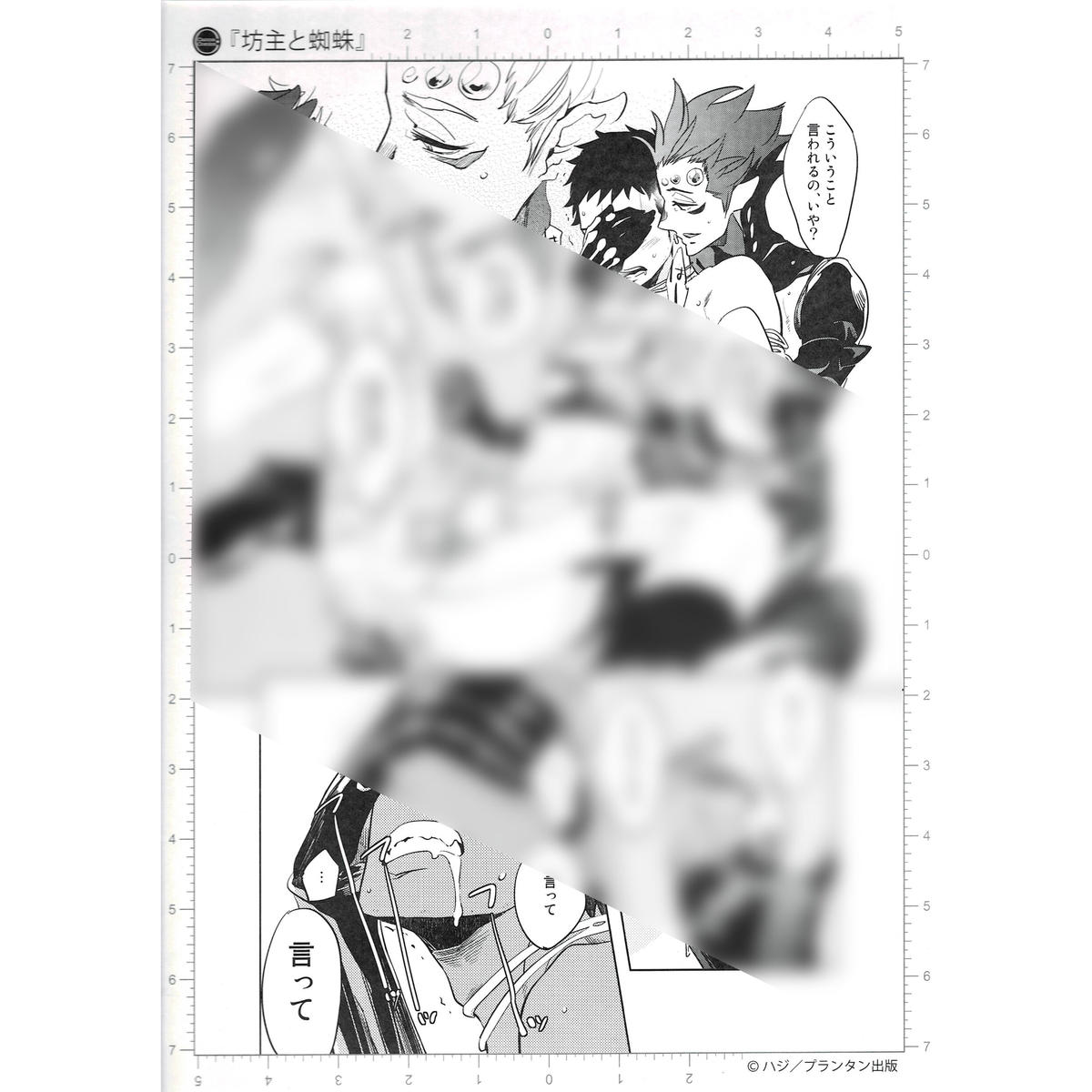 ハジ 坊主と蜘蛛 複製漫画原稿 Blグッズ K Books 池袋 ２次元グッズ通販