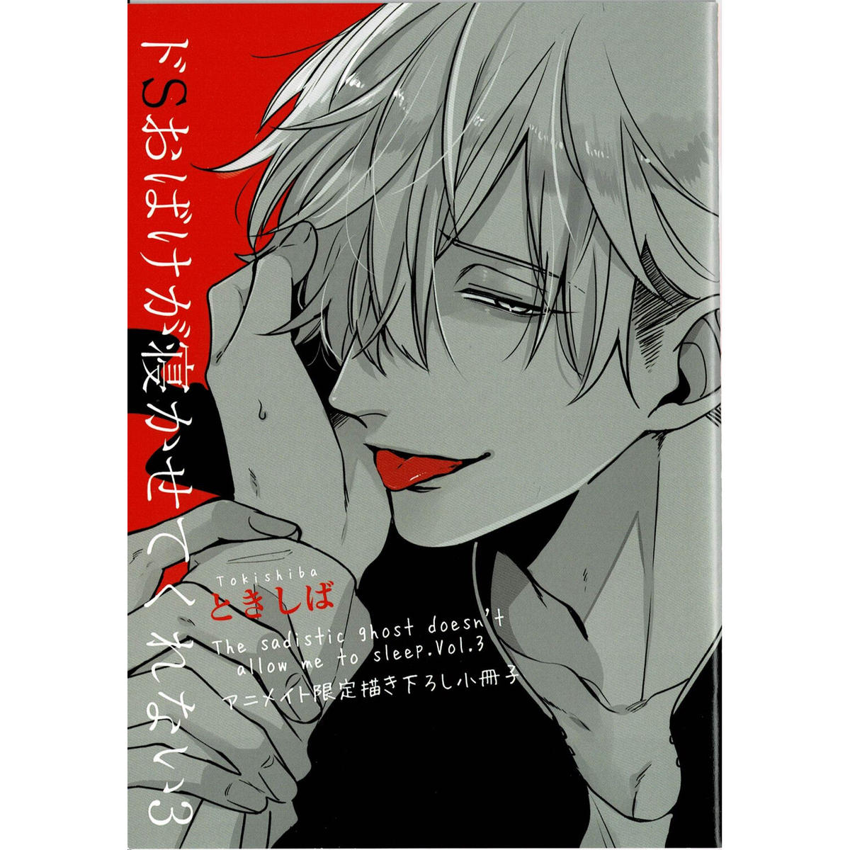 ときしば ドsおばけが寝かせてくれない 3 アニメイト限定 小冊子 Blグッズ