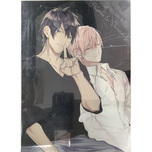 新品同様 城谷忠臣 ぬいぐるみ オンリーショップ限定 16年 宝井理人 テンカウント 黒瀬陸 グッズ マスコット 限定 希少即決 新品 2種セット たわら その他 Hlt No