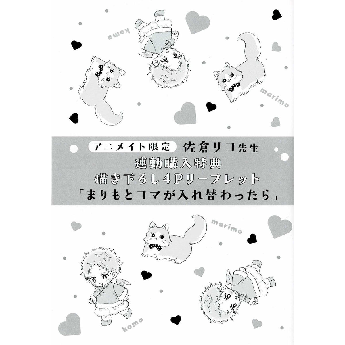 初回限定 想定外のスウィートマリッジ おやすみ いとしい小鳥さま Podzamcze Dobczyce Pl