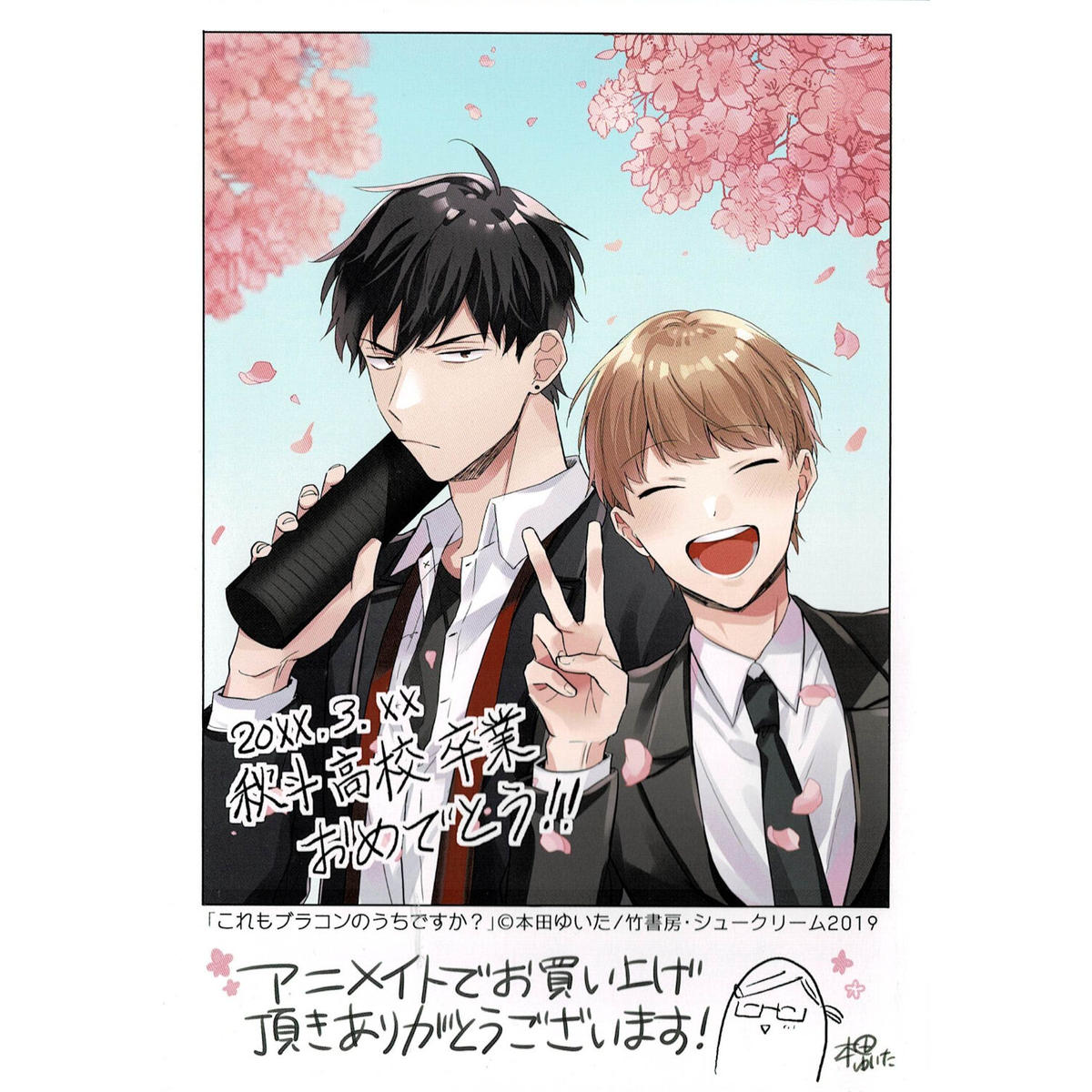 本田ゆいた これもブラコンのうちですか アニメイト リーフレット Blグッズ K