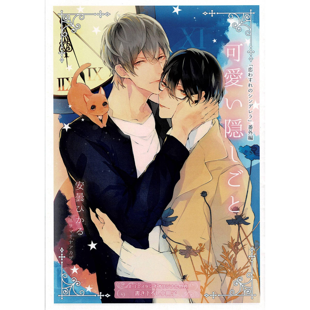 安曇ひかる サマミヤアカザ 恋わすれのシンデレラ 小冊子 Blグッズ K Book